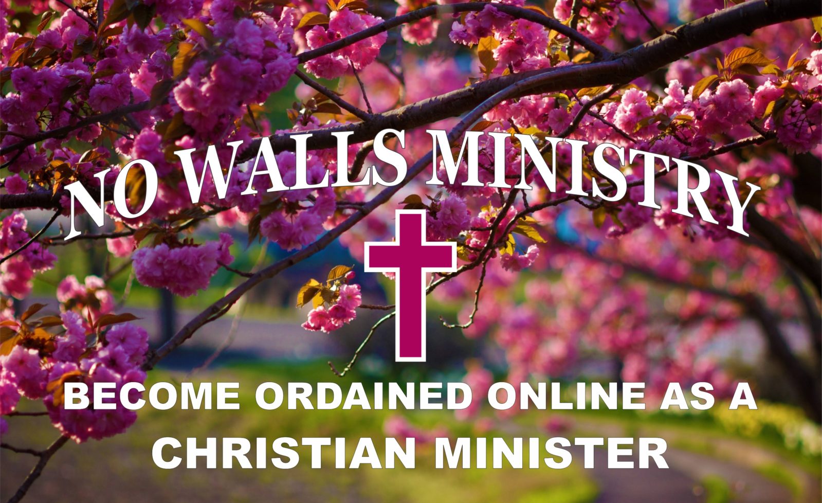No Walls Ministry